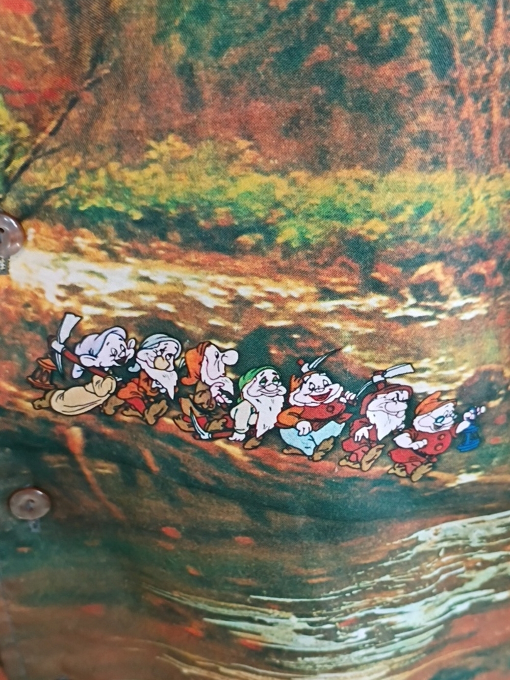 Kennington 7 Dwarves Disney Long Sleeve Button-down Shirt Orange And Green